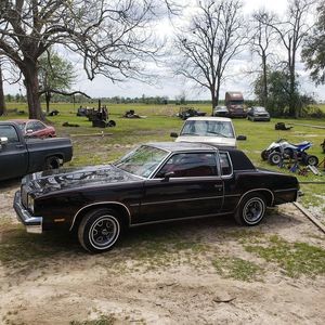 Meet your Posher, Jackson